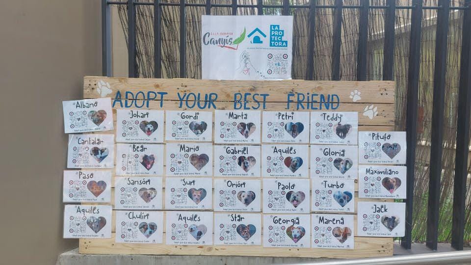 ADOPT YOUR BEST FRIEND